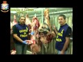 Carne avariata, maxi sequestro a Palermo