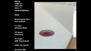 Blood Drop Falling 100 Cm Onto Cardboard