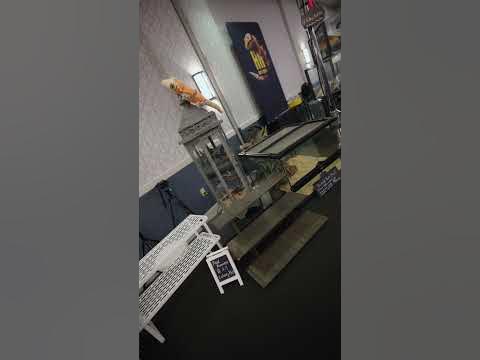 San Antonio Reptile Expo! - YouTube