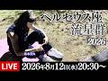 【ライブ】ペルセウス座流星群2026 松本真央と見る星空生中継 三大流星群の一つが活動ピークに/8月12日(水)20:30〜〈ウェザーニュースLiVE〉