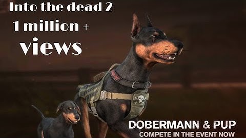 Into The Dead 2 Zombie Survival Android Gameplay 2021 #intothedead2