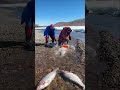 Sea Fishing Pro 🎣 | Monster Fish Hunting Adventure with Expert Sea Fishermen at Work