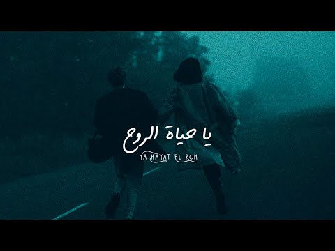 فيديو: أنا خائف منك يا حياة