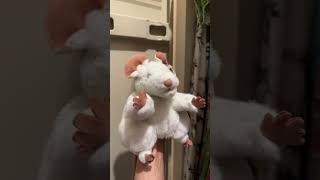 SB Short: The rat returns! #shorts