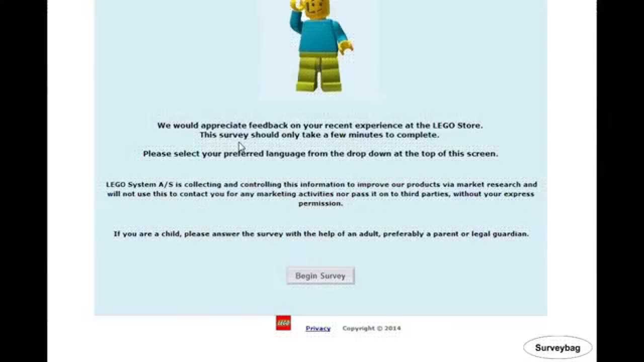 LEGO Survey Video Surveybag -