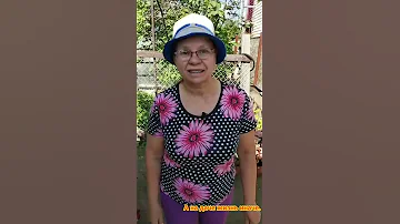 #SHORTS Мокрица. Полезный сорняк.