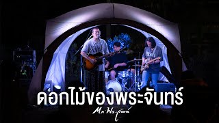 ดอกไม้ของพระจันทร์ I Dried Flower - Mr’พระจันทร์「Live at สมศรีมีบาร์ 」