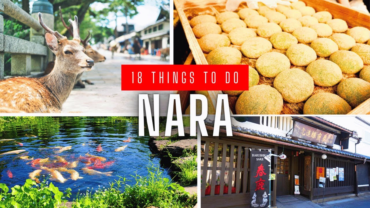 18 Things To Do in Nara, Japan (Travel Guide) - YouTube