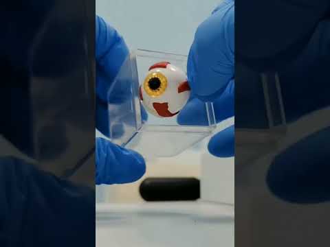 говорит офтальмолог #интересно #глаз #зрение #офтальмолог