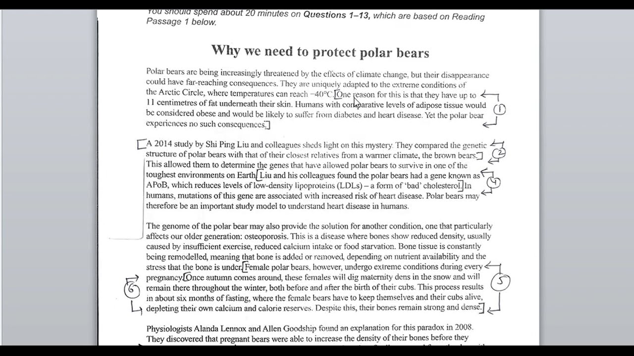 CAMBRIDGE BOOK 16 TEST 1 PASSAGE 1 WHY WE NEED TO PROTECT POLAR BEARS Cambridge book 16 test 1 passage 1 why we need to protect polar bears