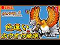 🔴【ポケモンFRLG】8901回目~ 今日もへそのいわ色違いホウオウ粘りで本気出す【ポケットモンスター ファイアレッド】