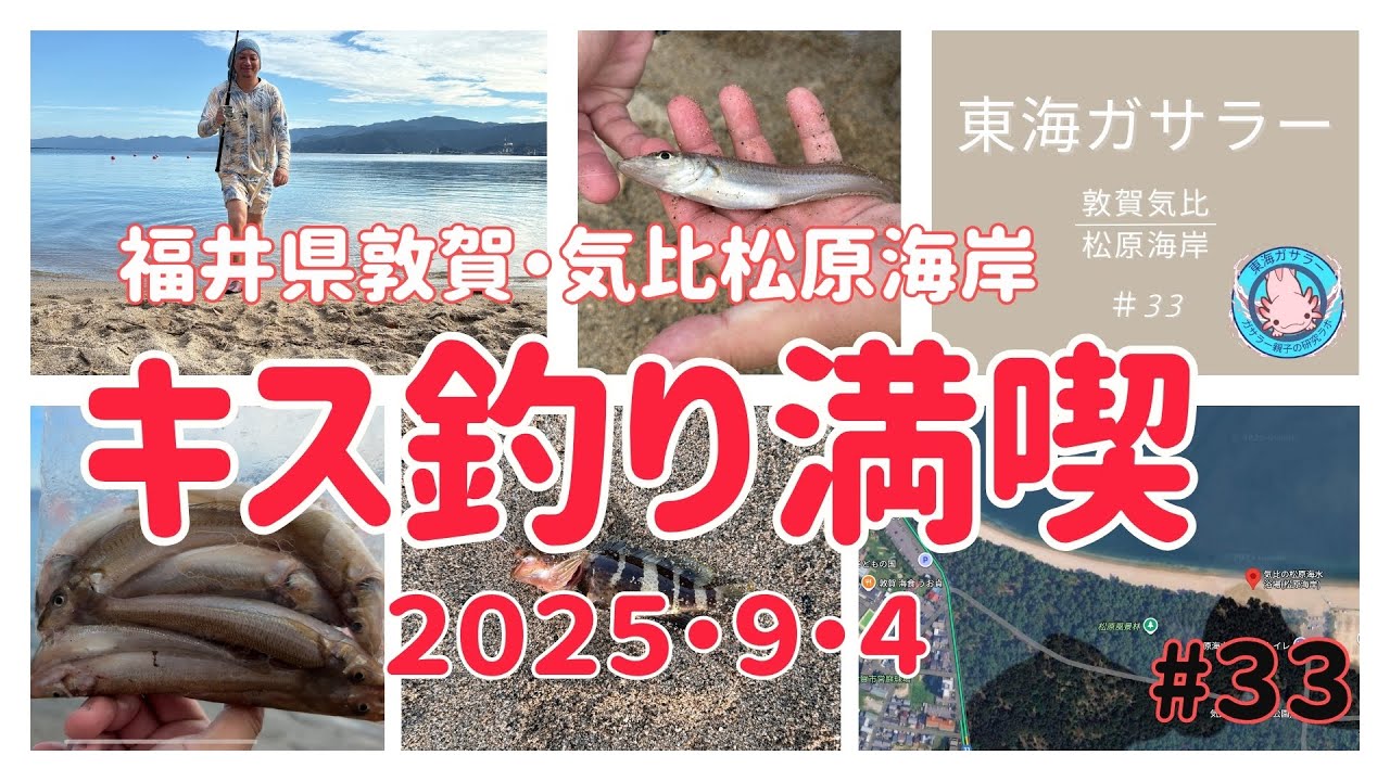 福井県敦賀市・気比松原海岸でキス釣り三昧 #33
