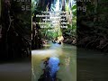 Inside the Jungle: Secrets SEALs Use to Stay Silent!