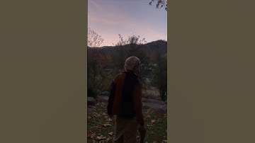 DC The Don - Sundown (2023 Snippet)