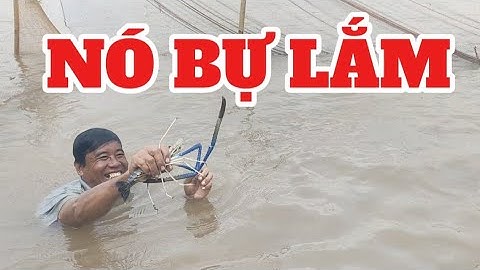 ANH TRAI MÒ TOÀN TÔM CÀNG XANH KHỔNG LỒ 