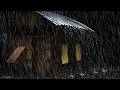 🔴 LIVE Heavy Rain on Roof 🌧️ Night Ambience