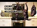 Chimps Using Microwaves - Preston &amp; Steve&#39;s Daily Rush