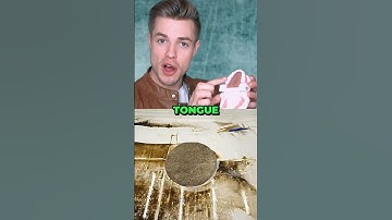 How To Mew | Mewing Tutorial and How to do it CORRECTLY #shorts #mewing #jawline @BrettMaverick