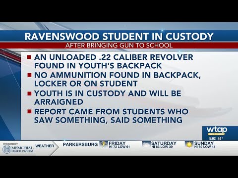 Ravenswood Middle School student in custody after bringing gun to school