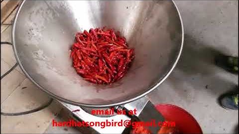 COLLOID MILL: GES80 CHILI PASTE PRODUCTION/ PEANUT BUTTER PRODUCTION