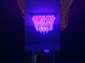 Digital Lights with Music 🌙