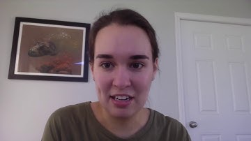 SPCE 683 Assignment 2 Prompt Video