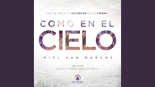 Video thumbnail of "Miel San Marcos - Rey Vencedor (En Vivo)"