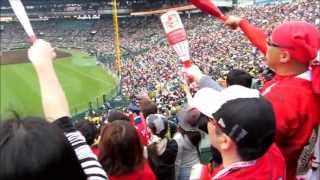 広島東洋カープ 4月29日の全得点シーン 甲子園球場20130429