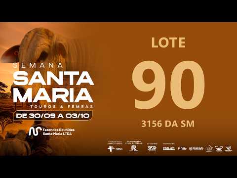 LOTE 90 FSM A3156