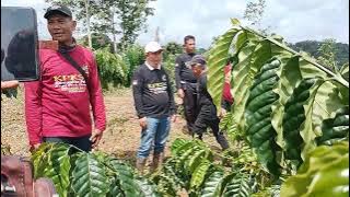 Proof of learning results with Jos