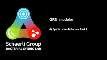GRN_modeler: 6) Spatial simulations - Part 1