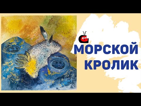 МОРСКОЙ КРОЛИК. Кто это? Где обитает и как выглядит в книге "О хитрой лисичке и золотой рыбке".