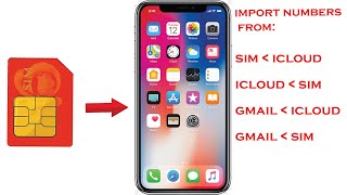 How To Transfer Phone Numbers from SIM to iCloud ( &Gmail To iPhone) screenshot 4
