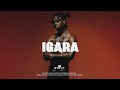 Afrobeat Type Beat 2026 IGARA Afrobeat Instrumental X Burna Boy X Fola