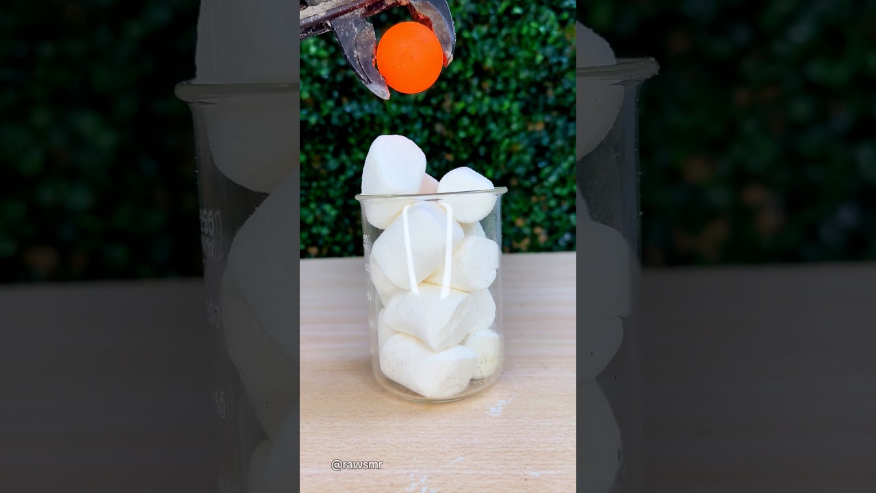 1000°C Red Hot Ball VS Marshmallows 
