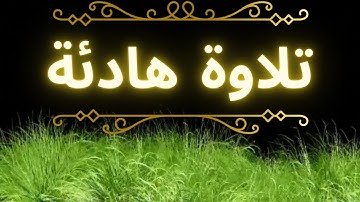 أرح بالك.. أجمل تلاوة هادئة تريح قلبك وعقلك|القارئ هيثم الدخين|طمأنينة لا توصف🎧🤍
