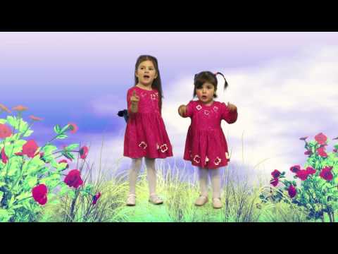 CANDY STUDIO - მერცხალი