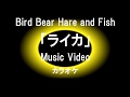Bird Bear Hare and Fish - ライカ (Music Video)(歌詞あり)耳コピカラオケ