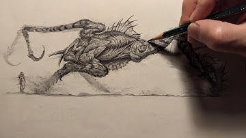 How to Draw Any Creature Using Basic Shapes