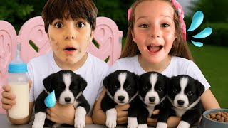 Adanin Köpeği̇ Doğum Yapti Yavru Köpekler Nereye Saklandi