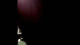 Věra Bílá a Kale - Tosara cover