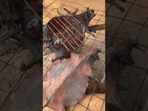 🇬🇭 Grilled Rat Kebab #shorts