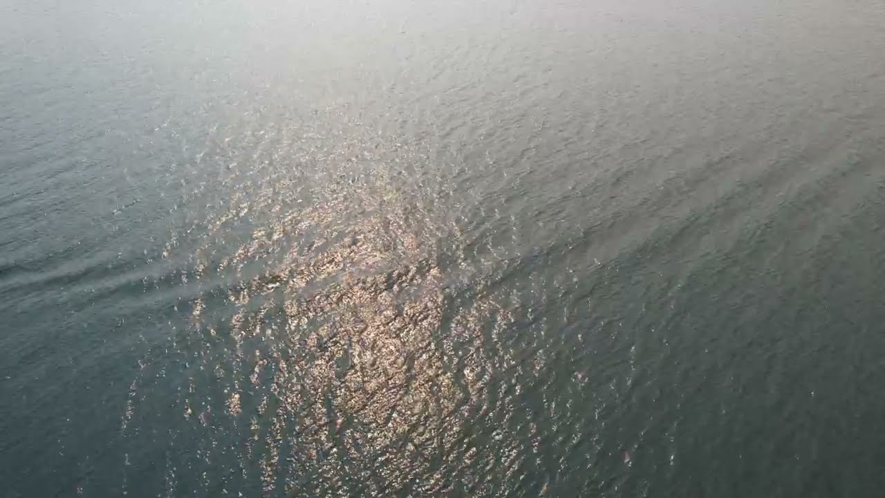 Establishing Shot Over Water | 4k 60fps Cinematic Drone Background Ambiance | Reconn Stock 23