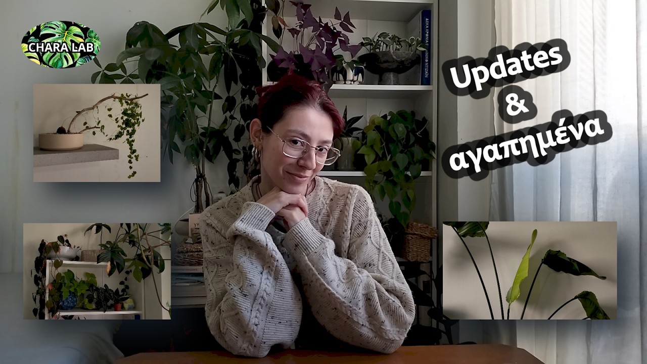 Updates & αγαπημένα Φεβρουάριος 2026 // Chara Lab