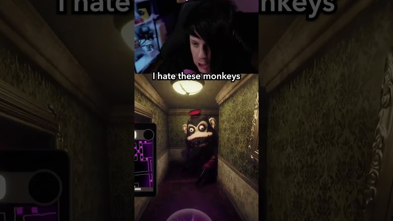 I hate these monkeys
