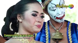 Bls  hd Quality Podang Kuning Cdanursari Nglaras Nyamleng