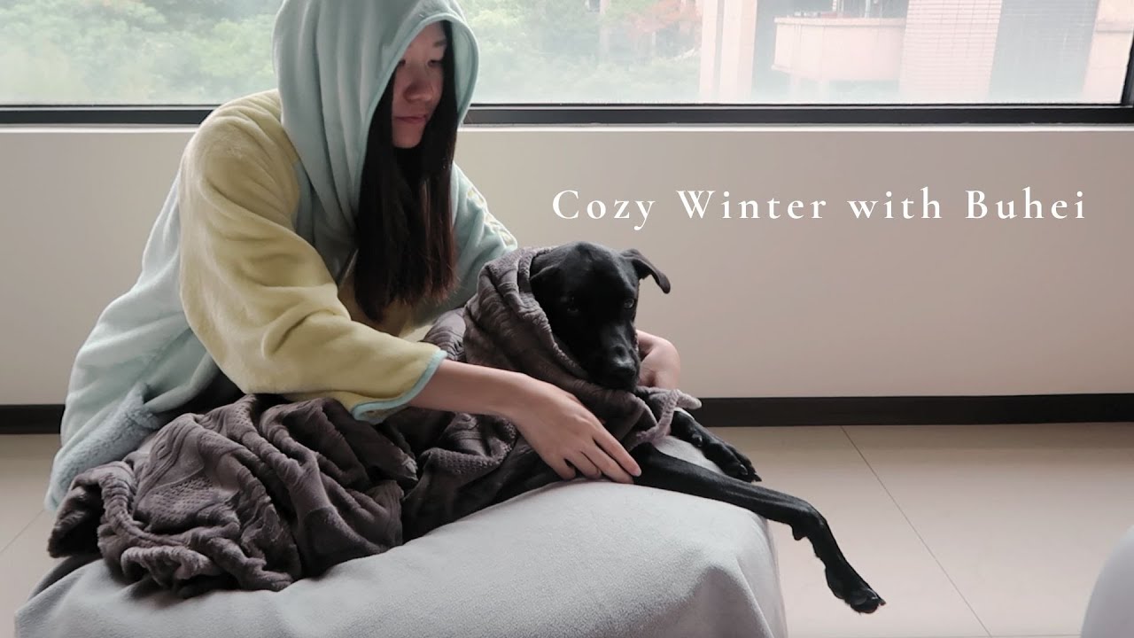 冬至來了！今天把不黑變成沙發湯圓 【 阿狗的避寒系列 】