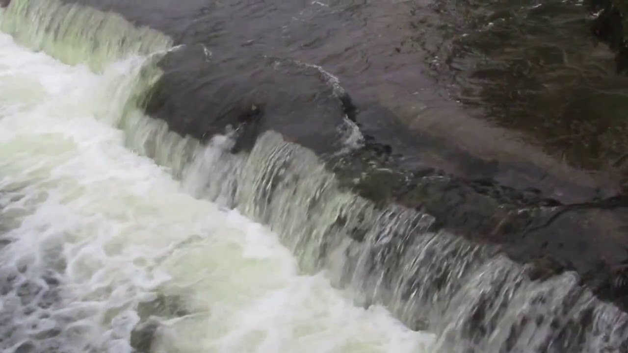 Spring 2016 Rainbow Trout (Steelhead) run at Sauble Falls, Ontario, Canada