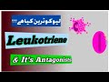 Leukotriene receptor antagonists
