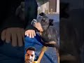 #guessthesong